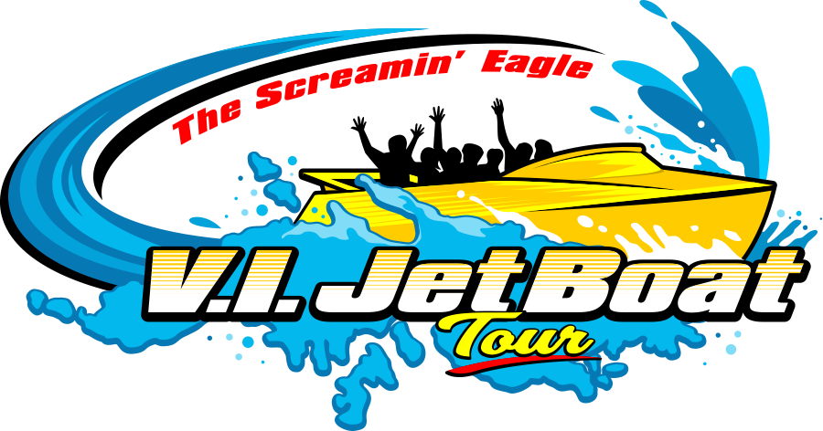 VI Jet Boat Logo