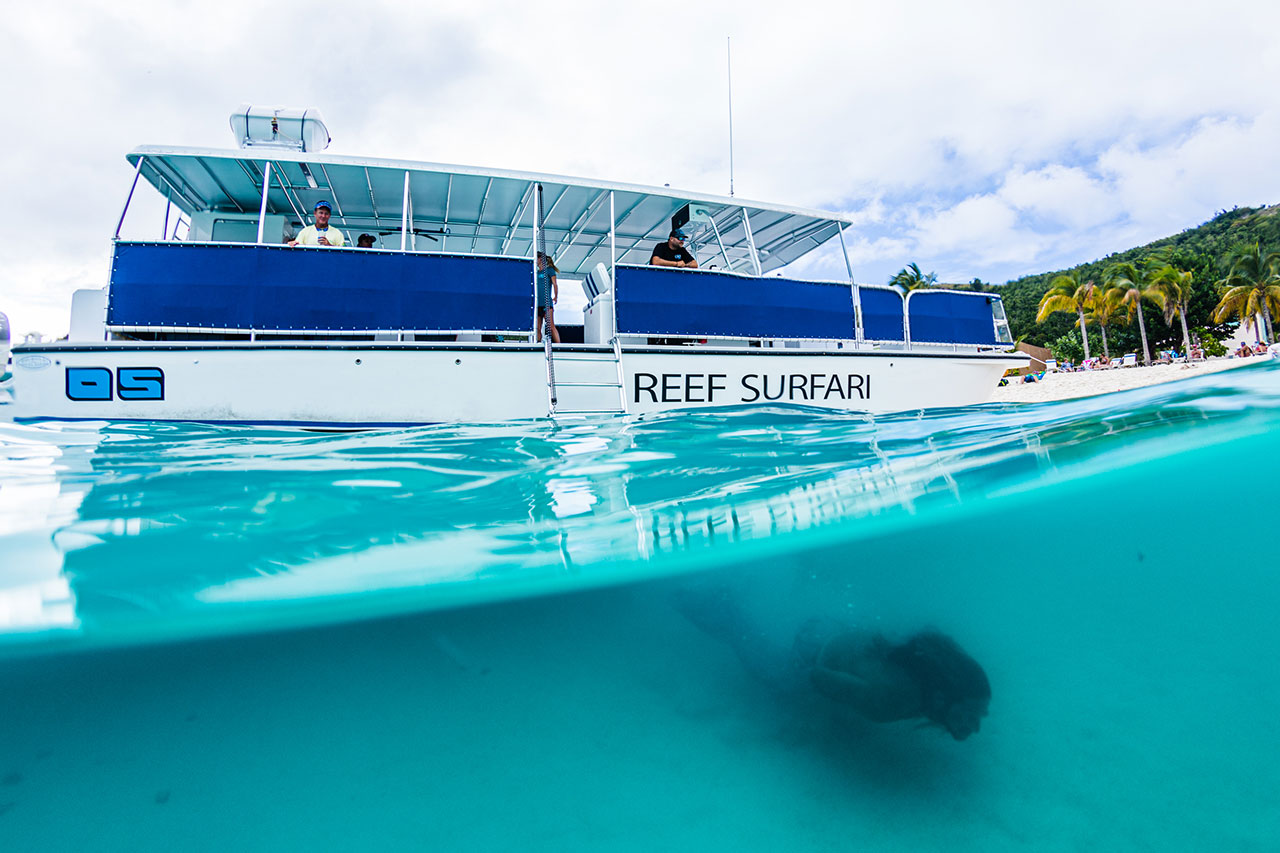 OS-_-Reef-Surfari-to-the-BVIs-_-St-Thomas,-Virgin-Islands